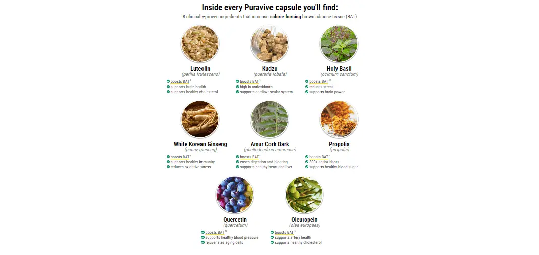 puravive supplement ingredients